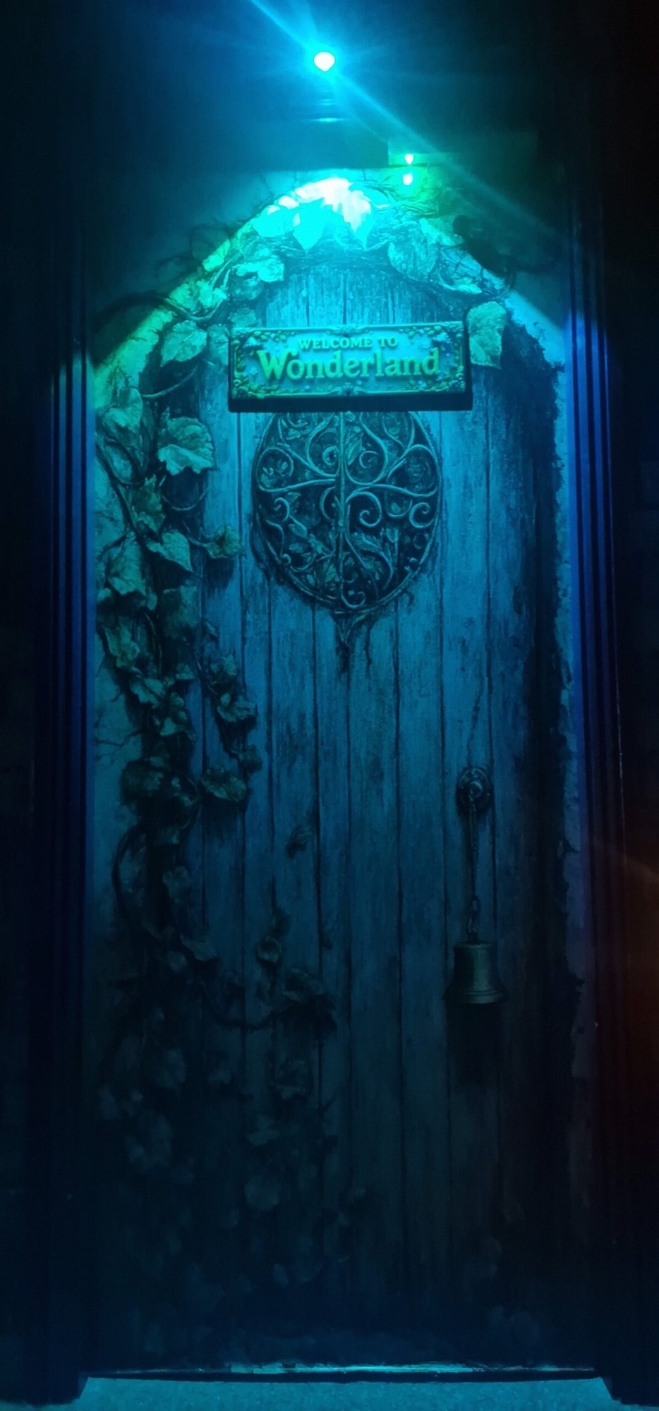 white rabbit escape room photo 7